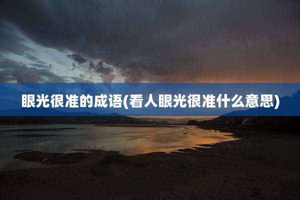 眼光很准的成语(看人眼光很准什么意思)