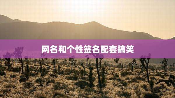 网名和个性签名配套搞笑