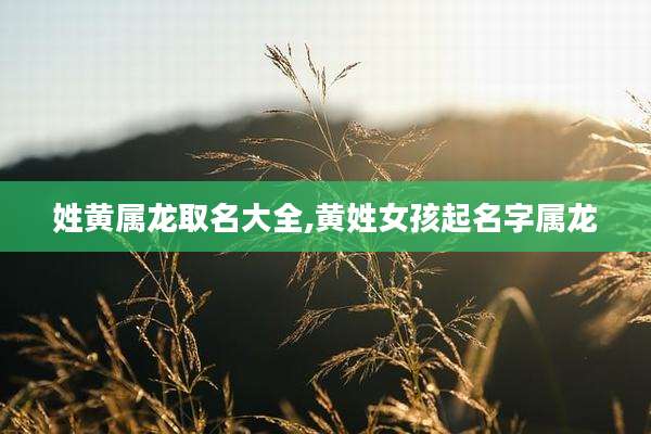 姓黄属龙取名大全,黄姓女孩起名字属龙
