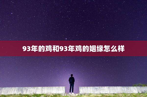 93年的鸡和93年鸡的姻缘怎么样