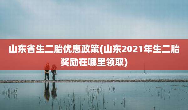山东省生二胎优惠政策(山东2021年生二胎奖励在哪里领取)