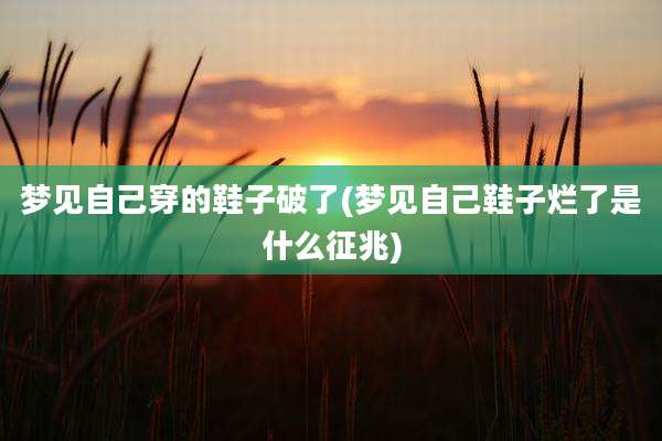 梦见自己穿的鞋子破了(梦见自己鞋子烂了是什么征兆)