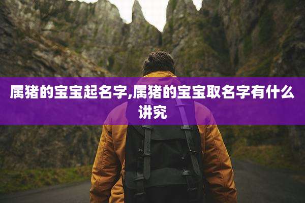 属猪的宝宝起名字,属猪的宝宝取名字有什么讲究