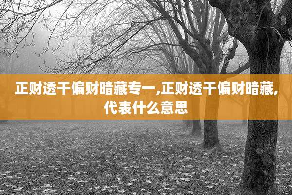 正财透干偏财暗藏专一,正财透干偏财暗藏,代表什么意思