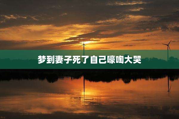梦到妻子死了自己嚎啕大哭