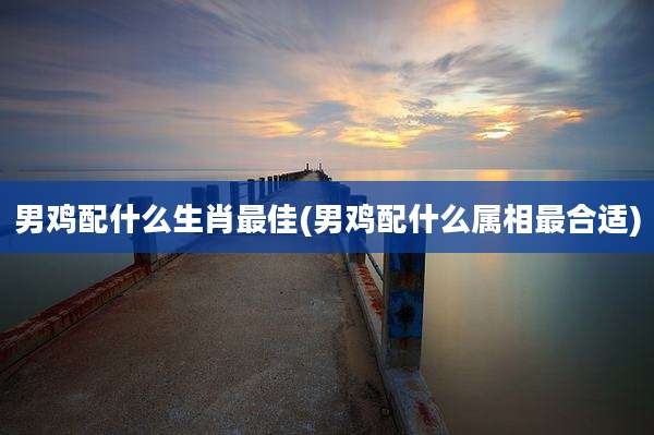 男鸡配什么生肖最佳(男鸡配什么属相最合适)