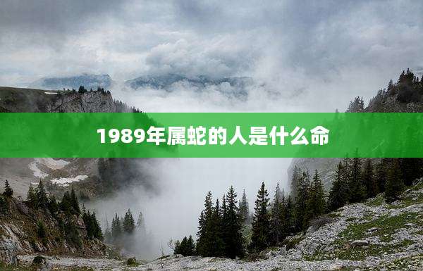1989年属蛇的人是什么命