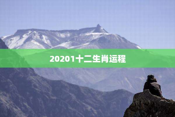 20201十二生肖运程