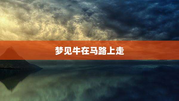 梦见牛在马路上走