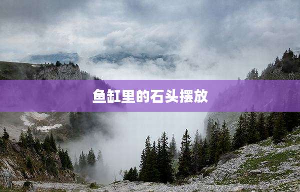 鱼缸里的石头摆放