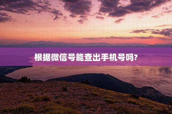 根据微信号能查出手机号吗?