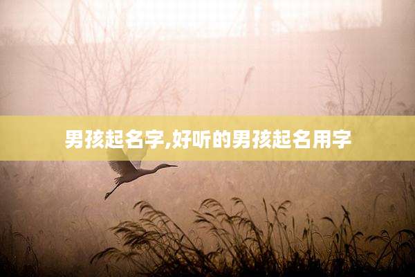 男孩起名字,好听的男孩起名用字