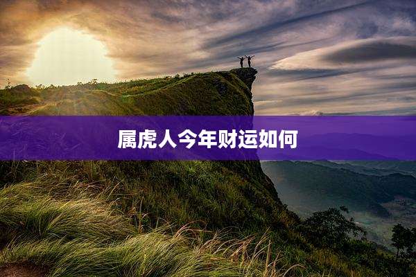 属虎人今年财运如何