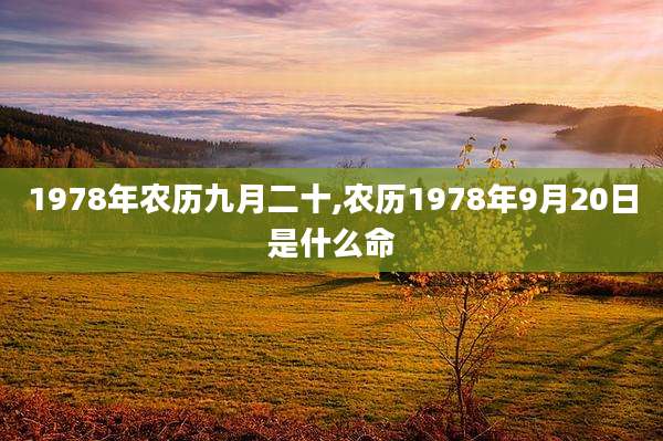 1978年农历九月二十,农历1978年9月20日是什么命