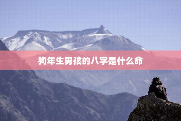 狗年生男孩的八字是什么命