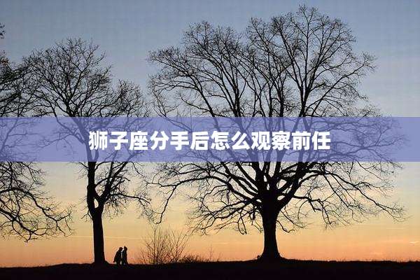 狮子座分手后怎么观察前任
