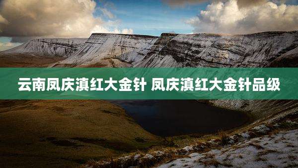 云南凤庆滇红大金针 凤庆滇红大金针品级