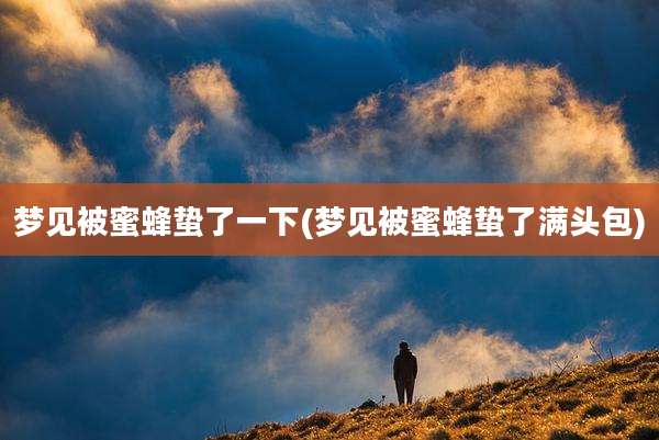 梦见被蜜蜂蛰了一下(梦见被蜜蜂蛰了满头包)