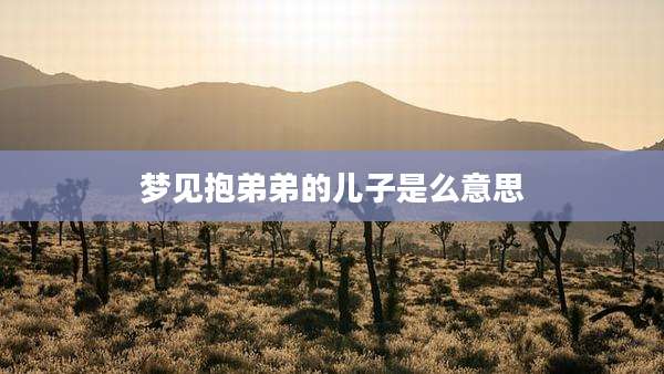 梦见抱弟弟的儿子是么意思