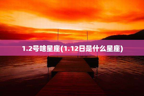 1.2号啥星座(1.12日是什么星座)