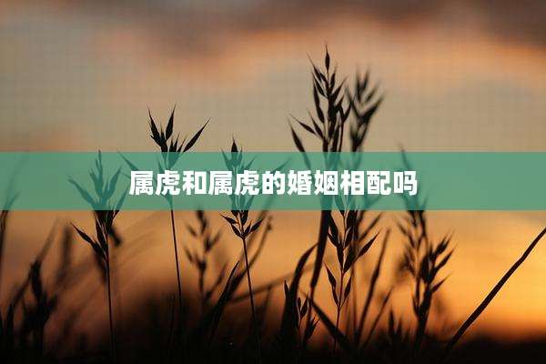 属虎和属虎的婚姻相配吗