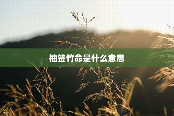 抽签竹命是什么意思