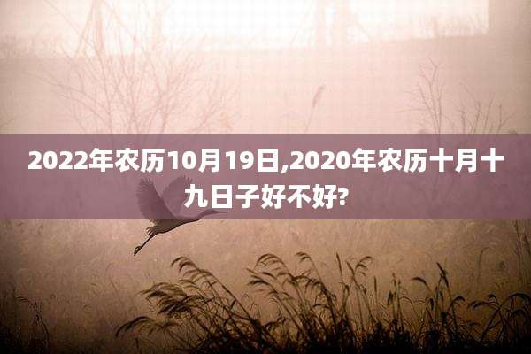 2022年农历10月19日,2020年农历十月十九日子好不好?