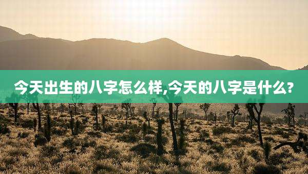 今天出生的八字怎么样,今天的八字是什么?
