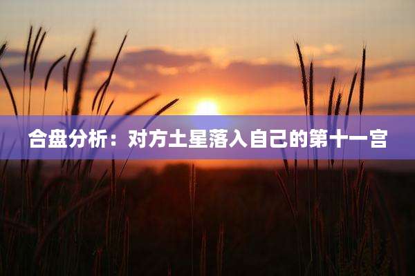 合盘分析：对方土星落入自己的第十一宫