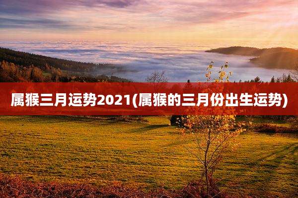 属猴三月运势2021(属猴的三月份出生运势)