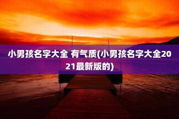小男孩名字大全 有气质(小男孩名字大全2021最新版的)