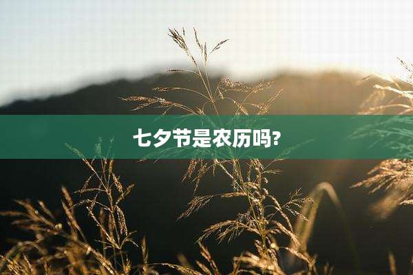 七夕节是农历吗?