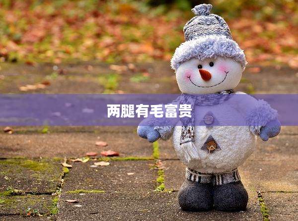 两腿有毛富贵
