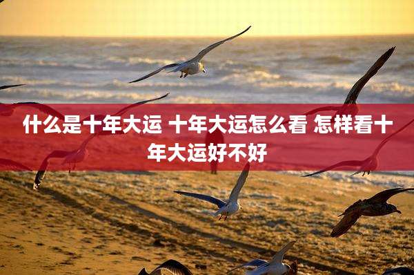 什么是十年大运 十年大运怎么看 怎样看十年大运好不好