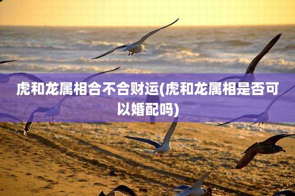 虎和龙属相合不合财运(虎和龙属相是否可以婚配吗)