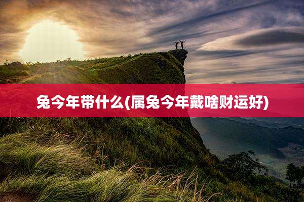 兔今年带什么(属兔今年戴啥财运好)