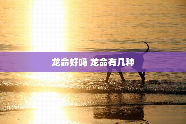 龙命好吗 龙命有几种