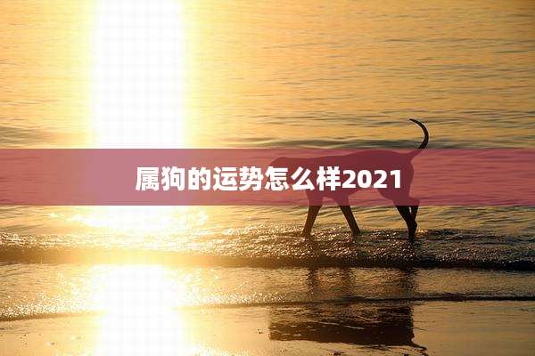 属狗的运势怎么样2021