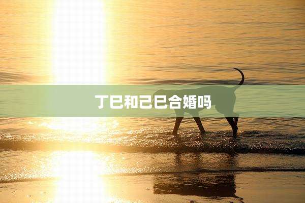 丁巳和己巳合婚吗