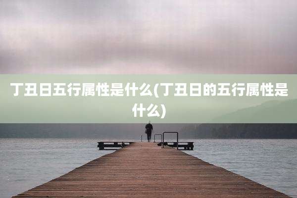 丁丑日五行属性是什么(丁丑日的五行属性是什么)