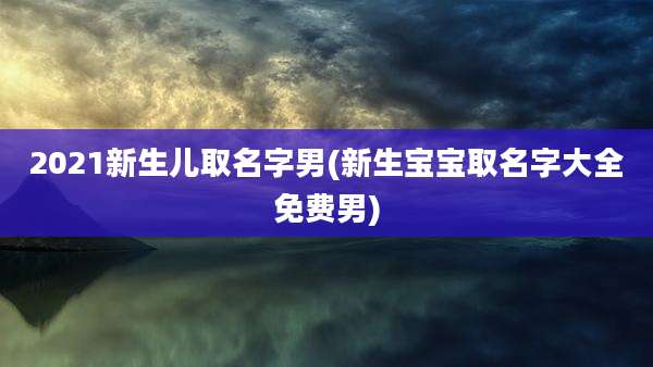 2021新生儿取名字男(新生宝宝取名字大全免费男)
