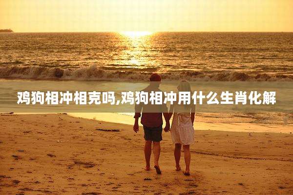 鸡狗相冲相克吗,鸡狗相冲用什么生肖化解