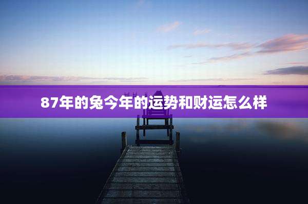 87年的兔今年的运势和财运怎么样