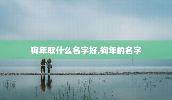 狗年取什么名字好,狗年的名字