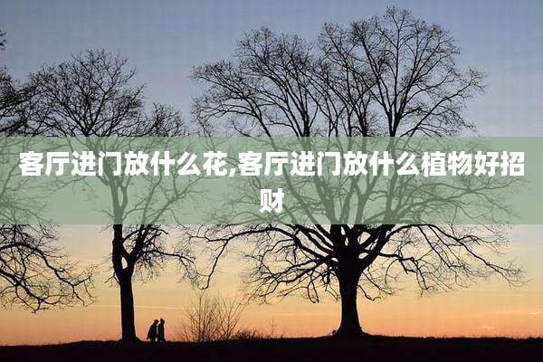 客厅进门放什么花,客厅进门放什么植物好招财