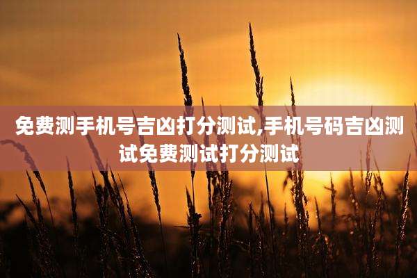 免费测手机号吉凶打分测试,手机号码吉凶测试免费测试打分测试
