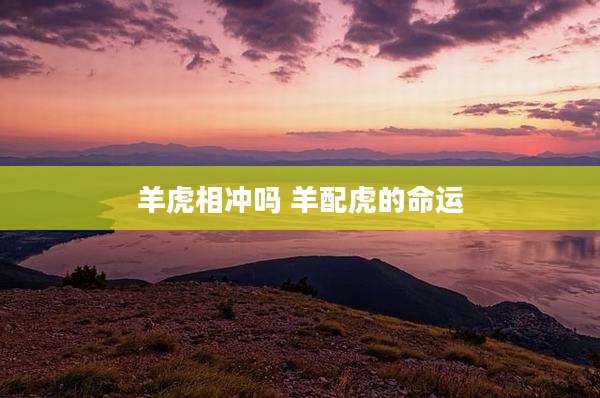 羊虎相冲吗 羊配虎的命运