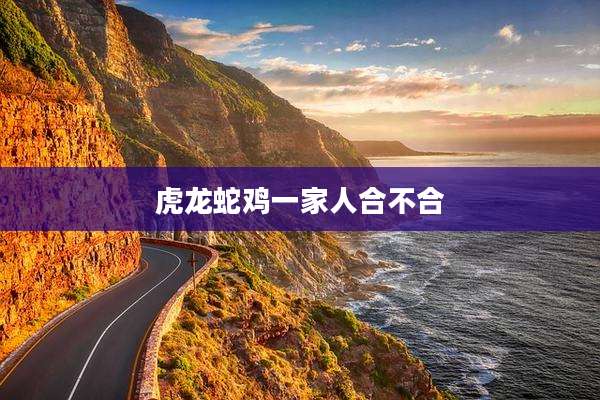 虎龙蛇鸡一家人合不合
