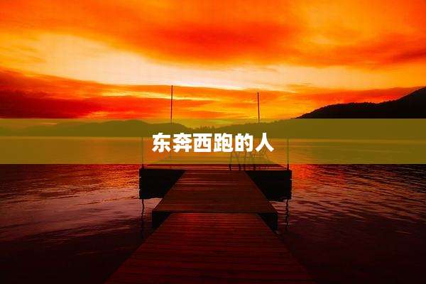 东奔西跑的人