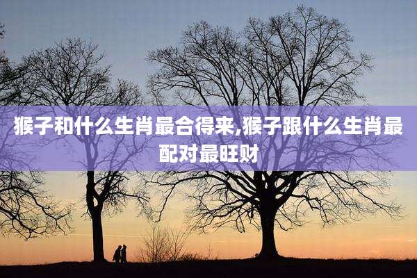 猴子和什么生肖最合得来,猴子跟什么生肖最配对最旺财